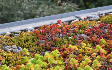 the cost of Tockholes green roof installation