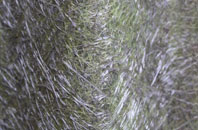 Tockholes fibreglass roof work